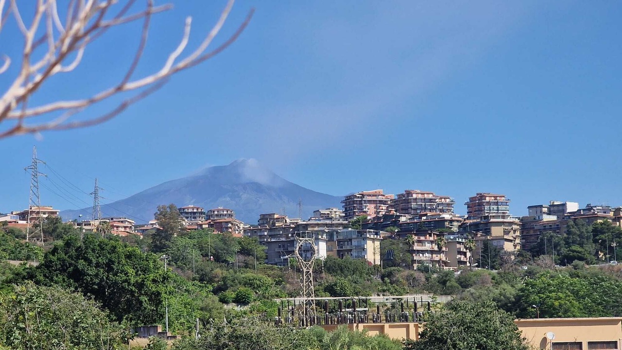 Photo of Others in Picanello-Ognina-Barriera-Canalicchio