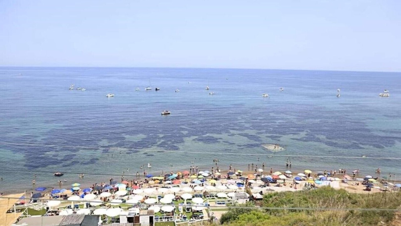 Photo of Others in Trabia