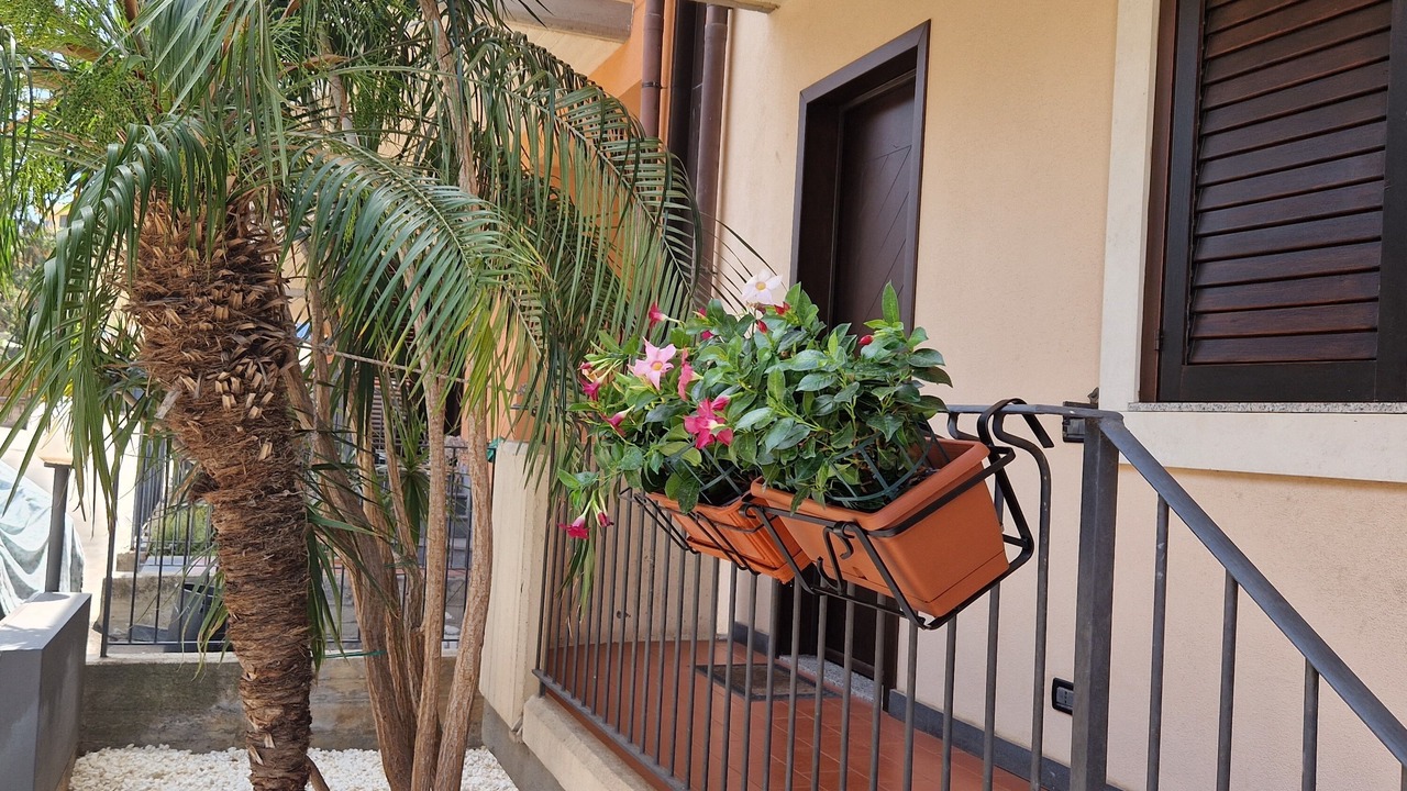 Photo of Outdoor in Giarre