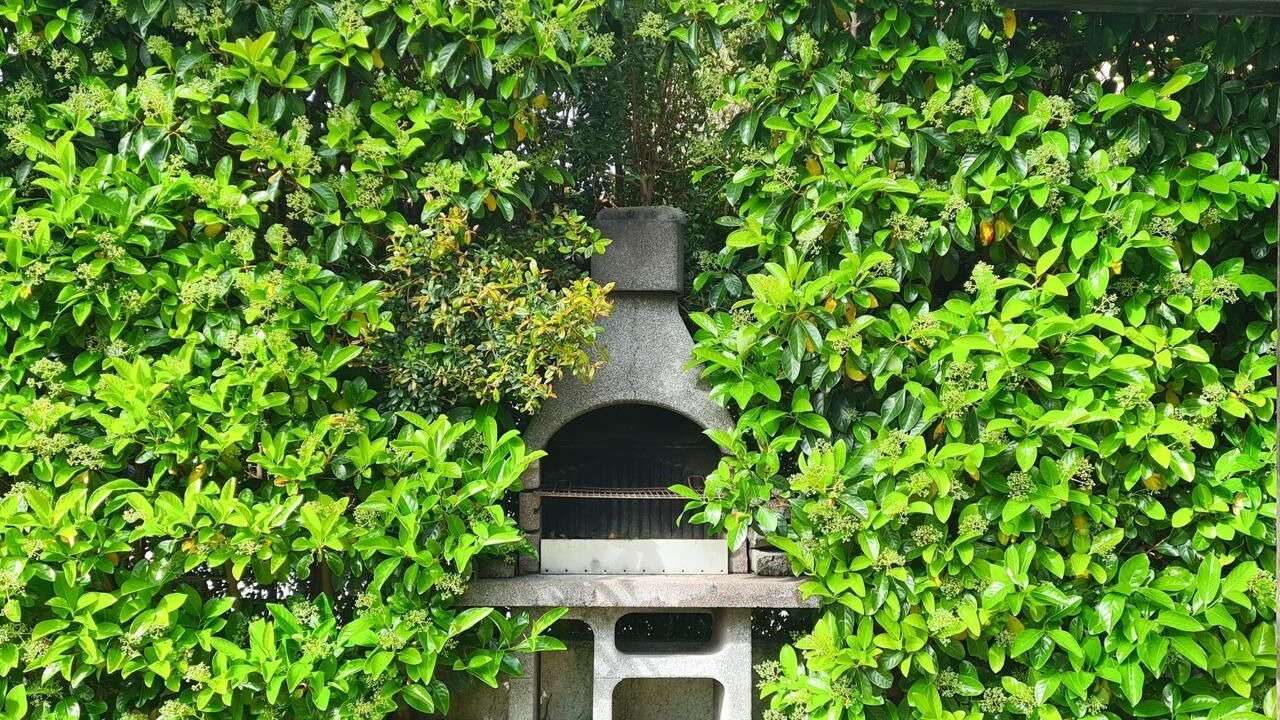 Photo of Outdoor in Pizzo