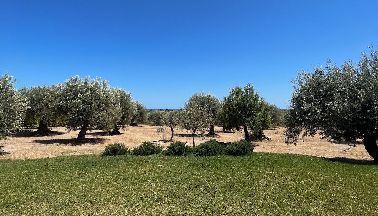Photo of Outdoor in Noto