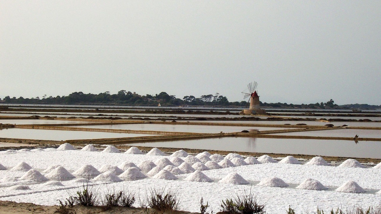 Photo of Others in Menfi