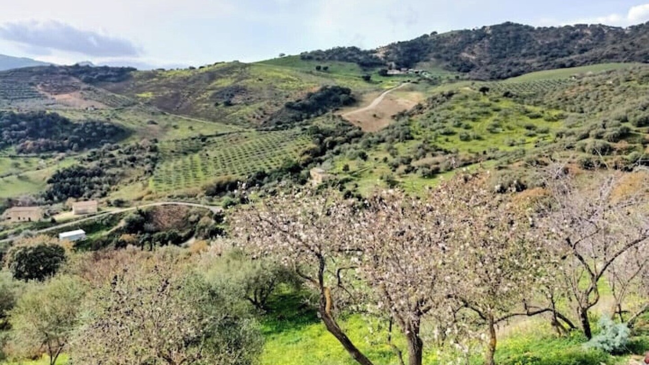 Photo of Others in Caccamo