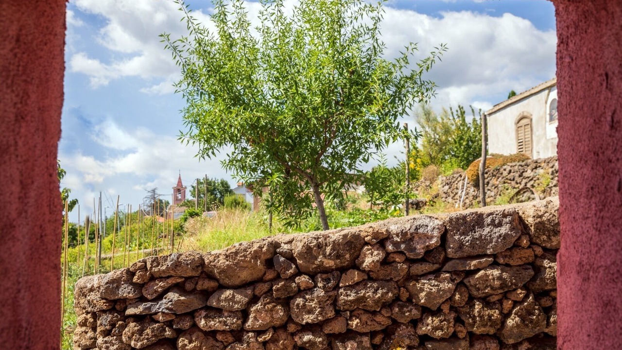 Photo of Outdoor in Mascali