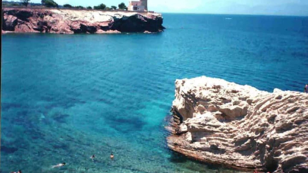 Photo of Others in Terrasini