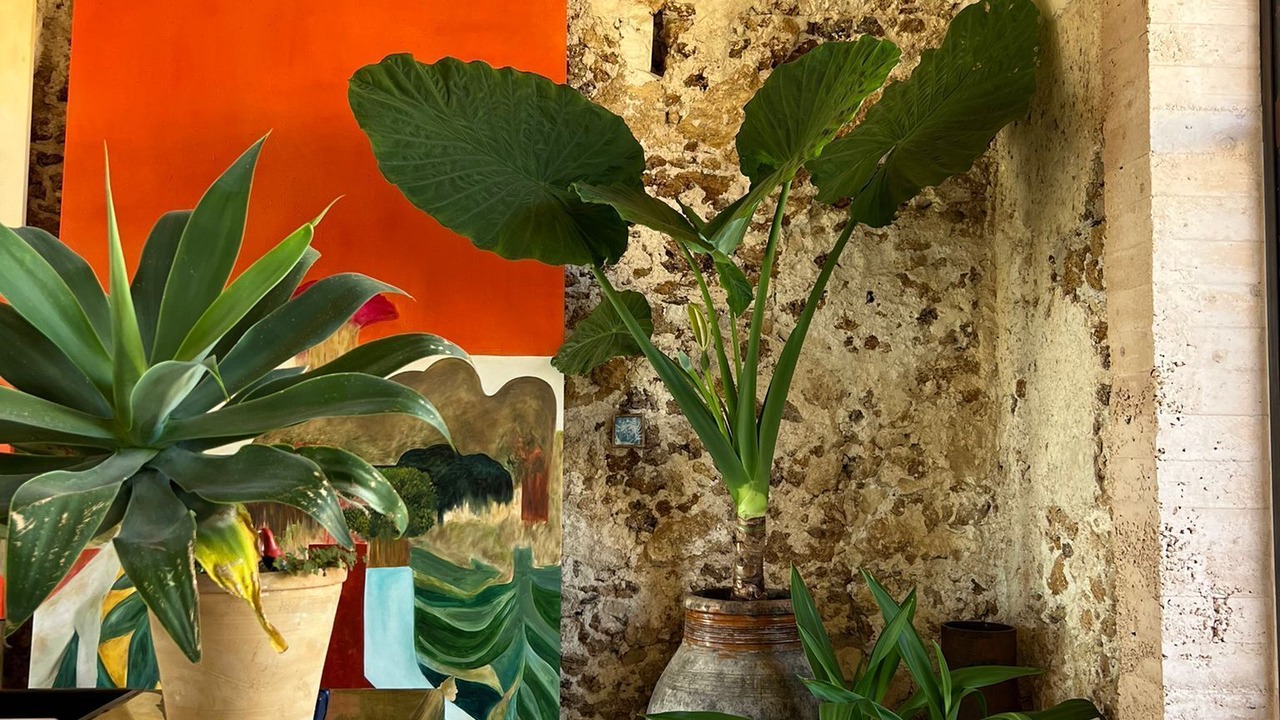Photo of Others in Noto
