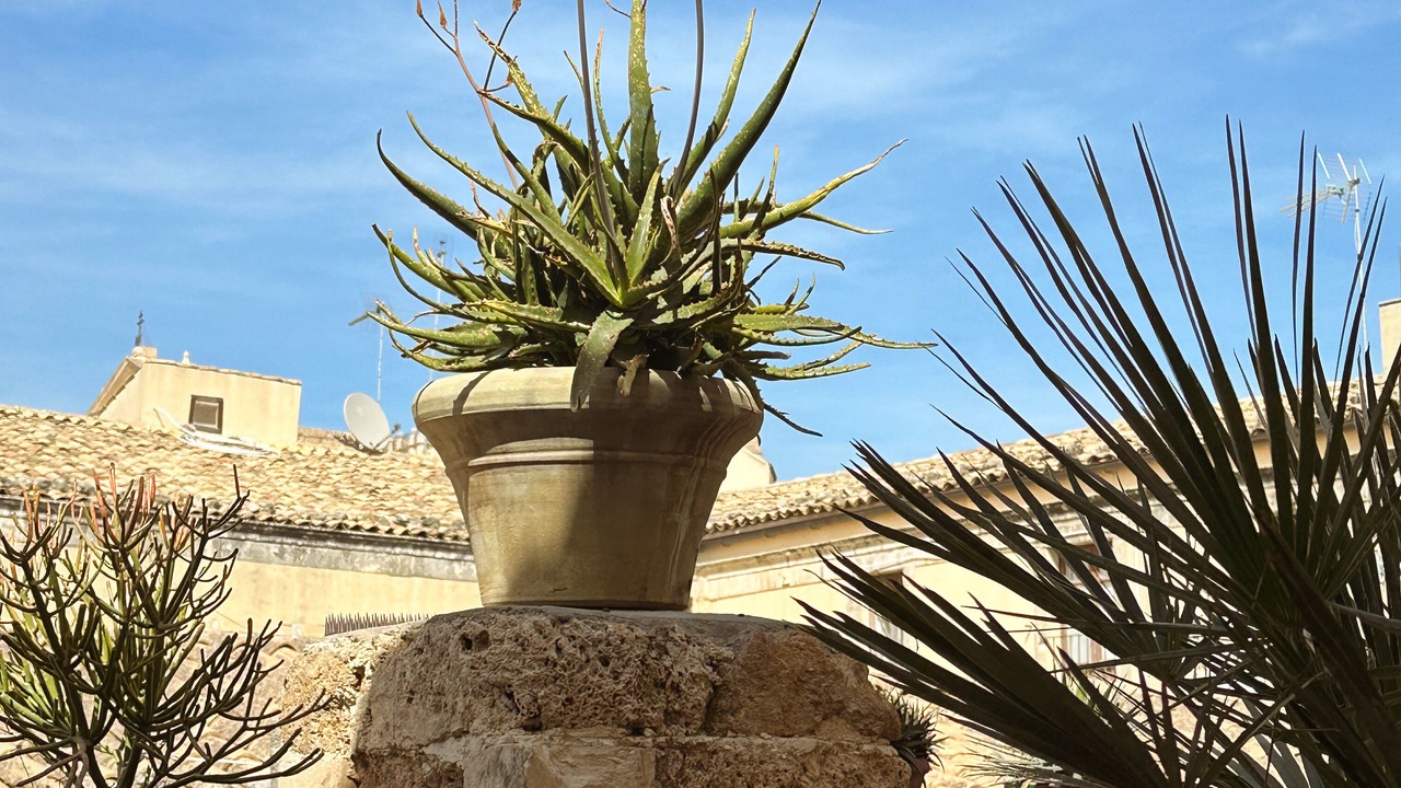 Photo of Outdoor in Noto