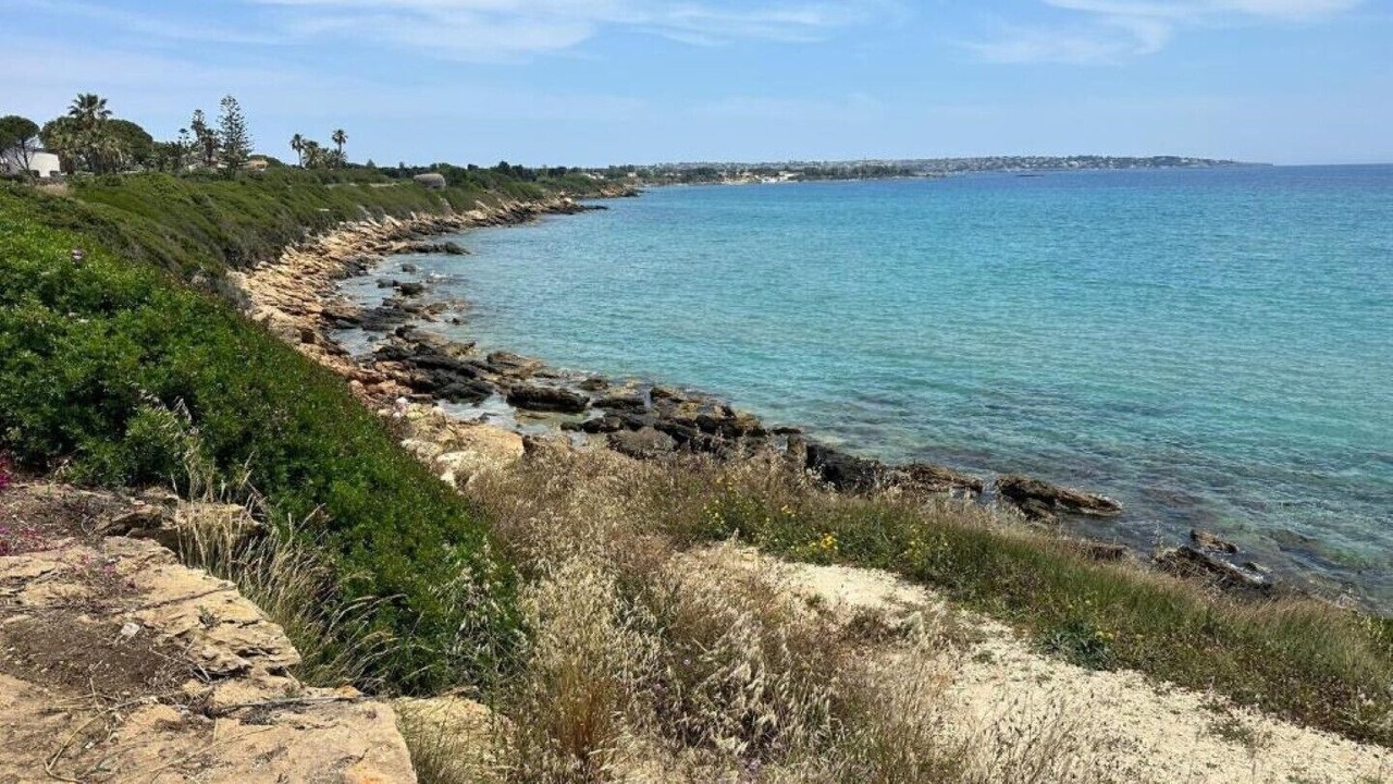 Photo of Others in Arenella
