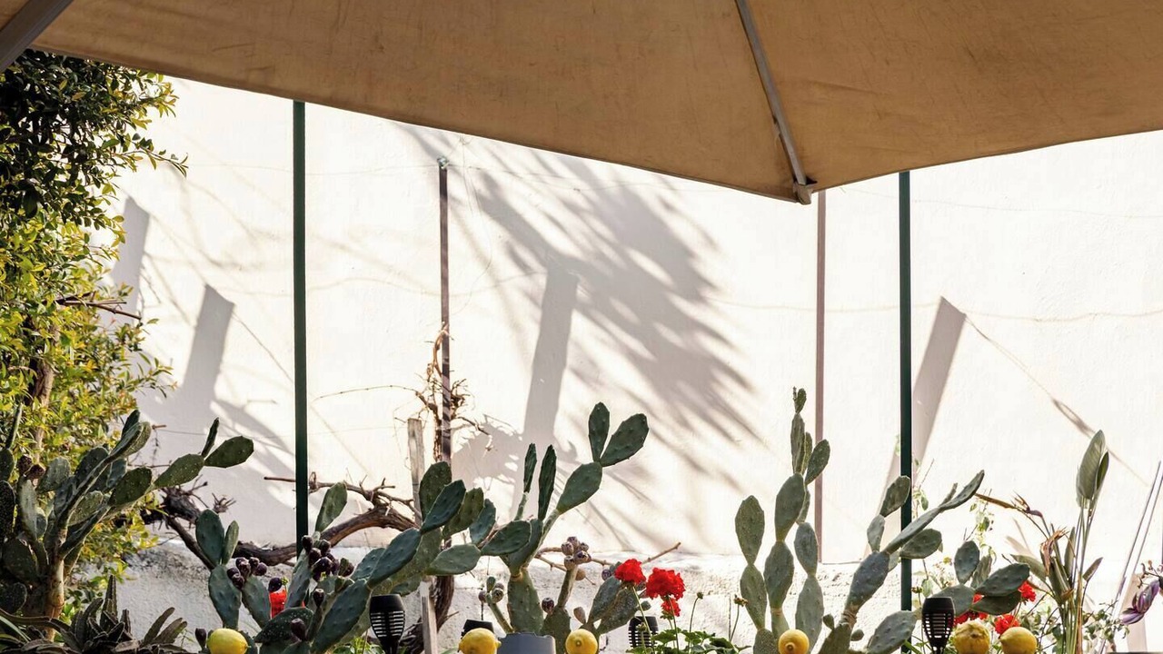 Photo of Others in Giarre