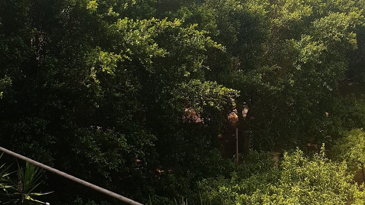 Photo of Outdoor in Modica