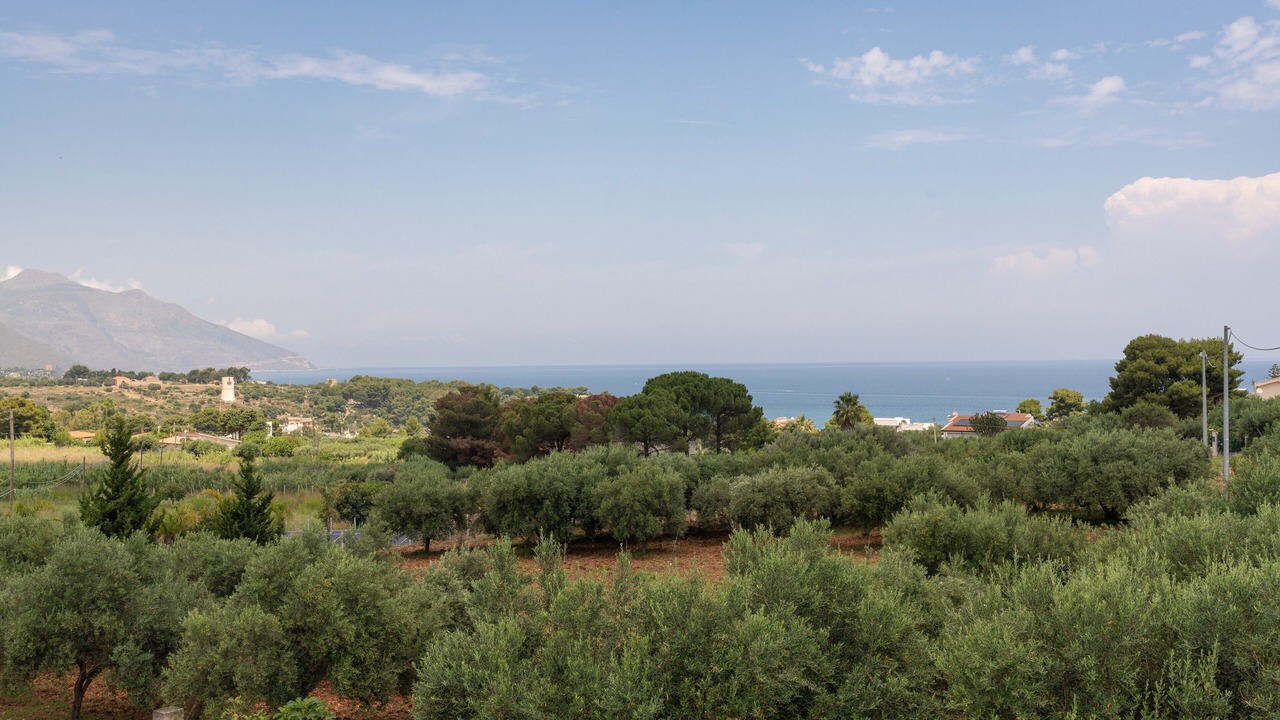 Photo of Others in Scopello