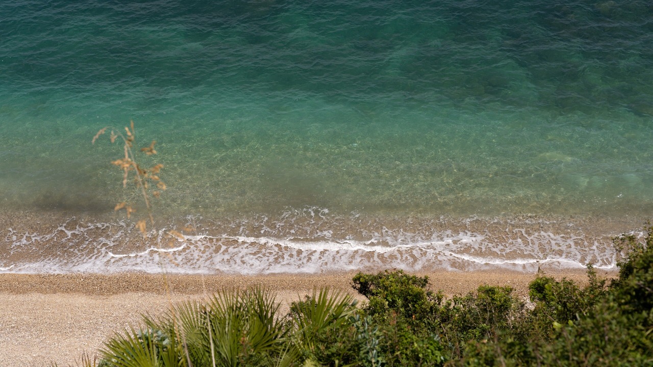 Photo of Others in Scopello