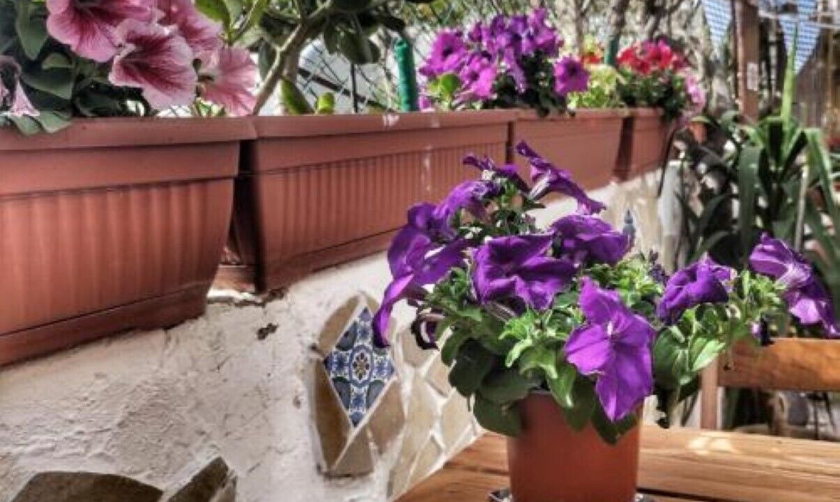Photo of Outdoor in Lipari Historic Centre