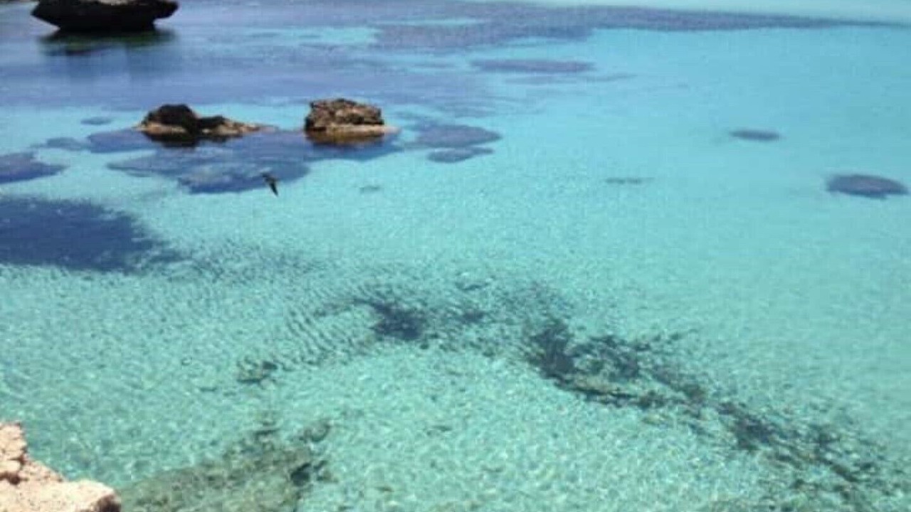Photo of Others in Favignana