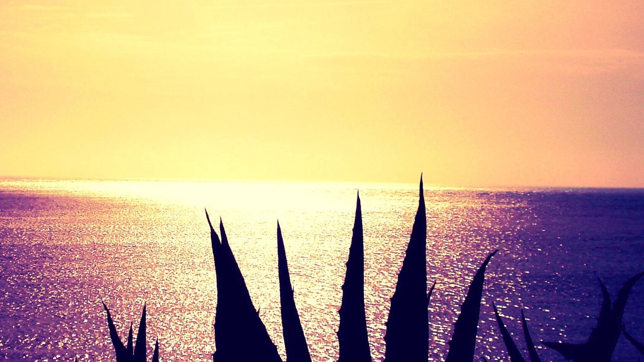 Photo of Outdoor in San Vito Lo Capo