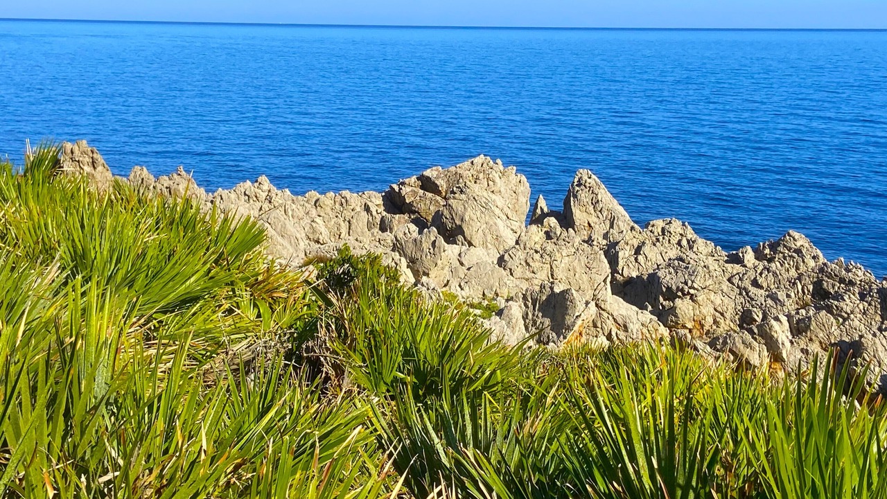 Photo of Others in San Vito Lo Capo