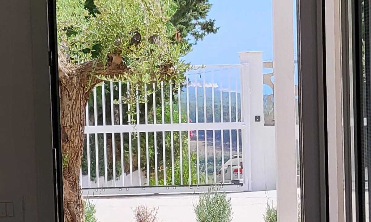 Photo of Others in Borgo Bonsignore