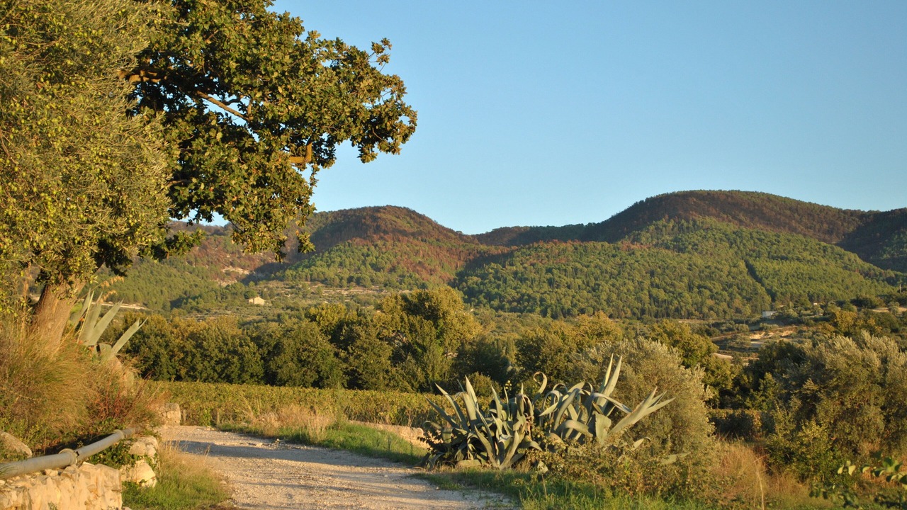 Photo of Outdoor in Chiaramonte Gulfi