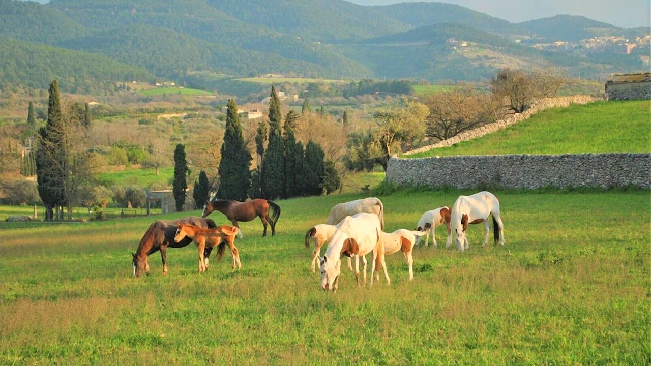 Photo of Outdoor in Chiaramonte Gulfi