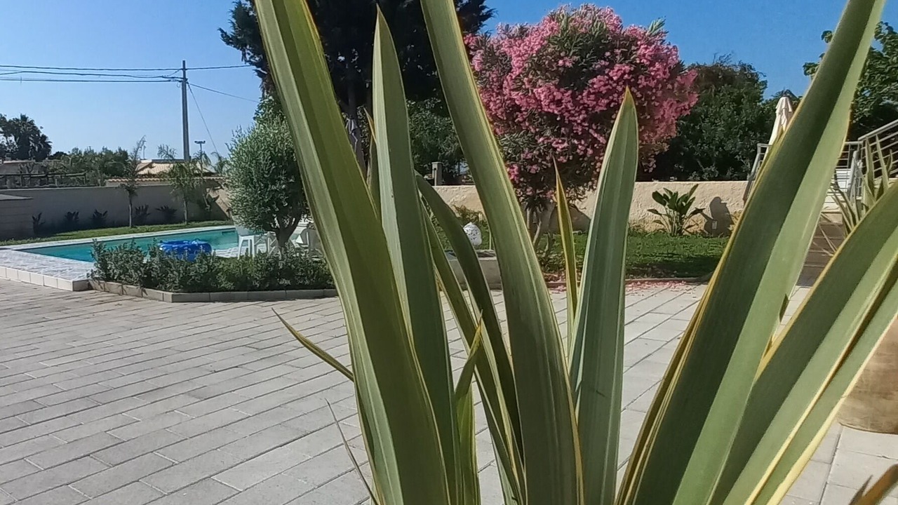 Photo of Outdoor in Punta Milocca