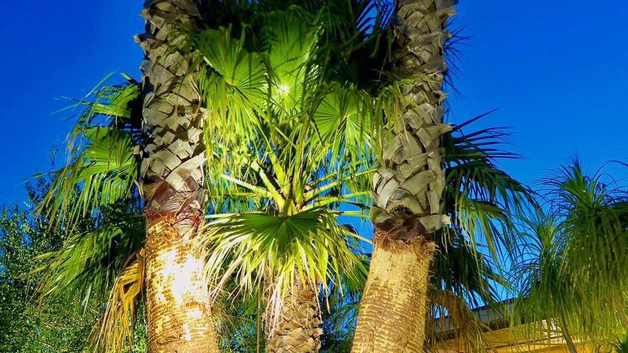 Photo of Outdoor in Noto Marina