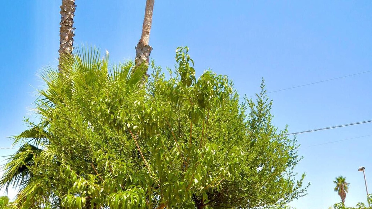 Photo of Outdoor in Noto Marina