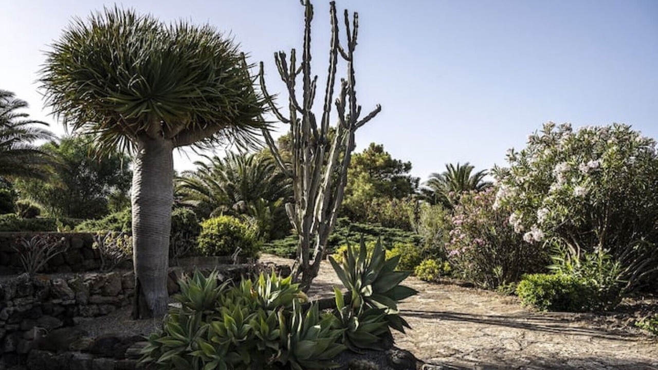Photo of Outdoor in Pantelleria