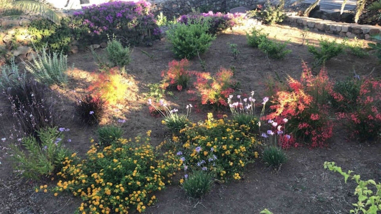 Photo of Outdoor in Pantelleria