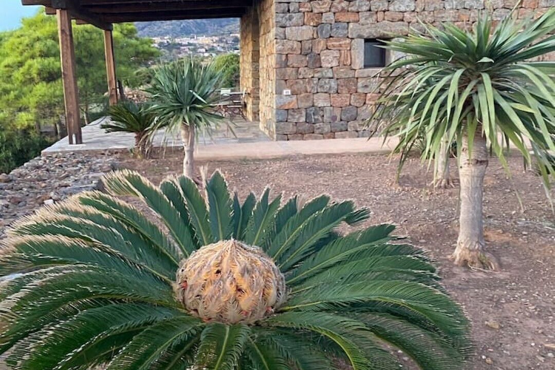 Photo of Outdoor in Pantelleria