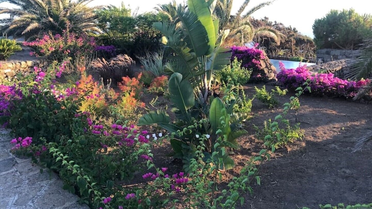 Photo of Outdoor in Pantelleria