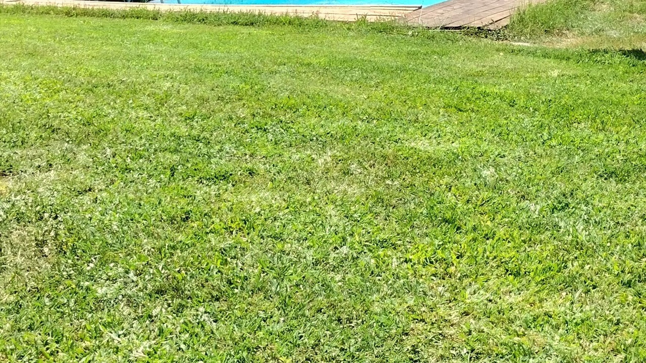 Photo of Outdoor in Lauria