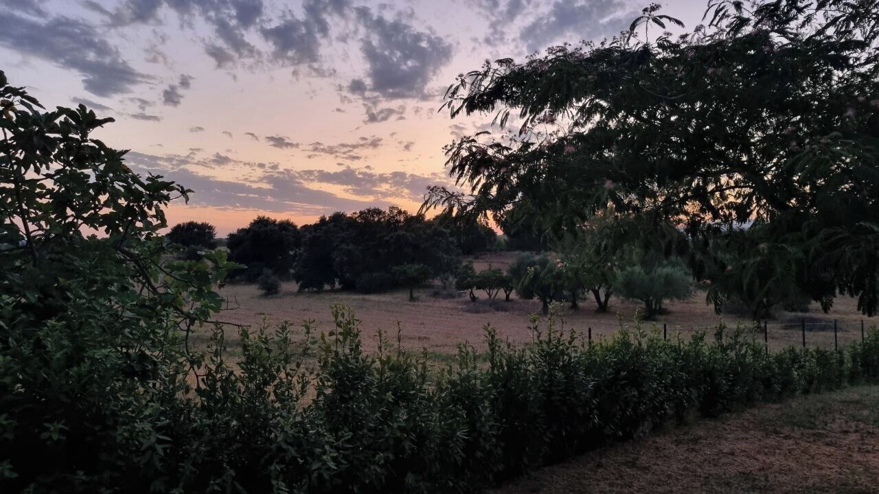 Photo of Outdoor in Caltagirone