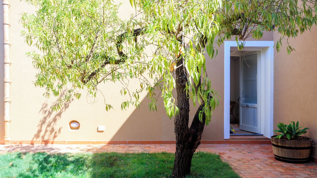 Photo of Outdoor in Menfi