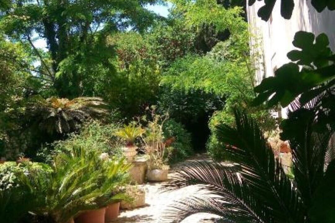 Photo of Outdoor in Casa Papa