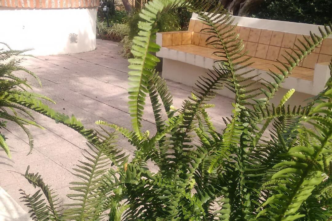 Photo of Outdoor in Province of Messina