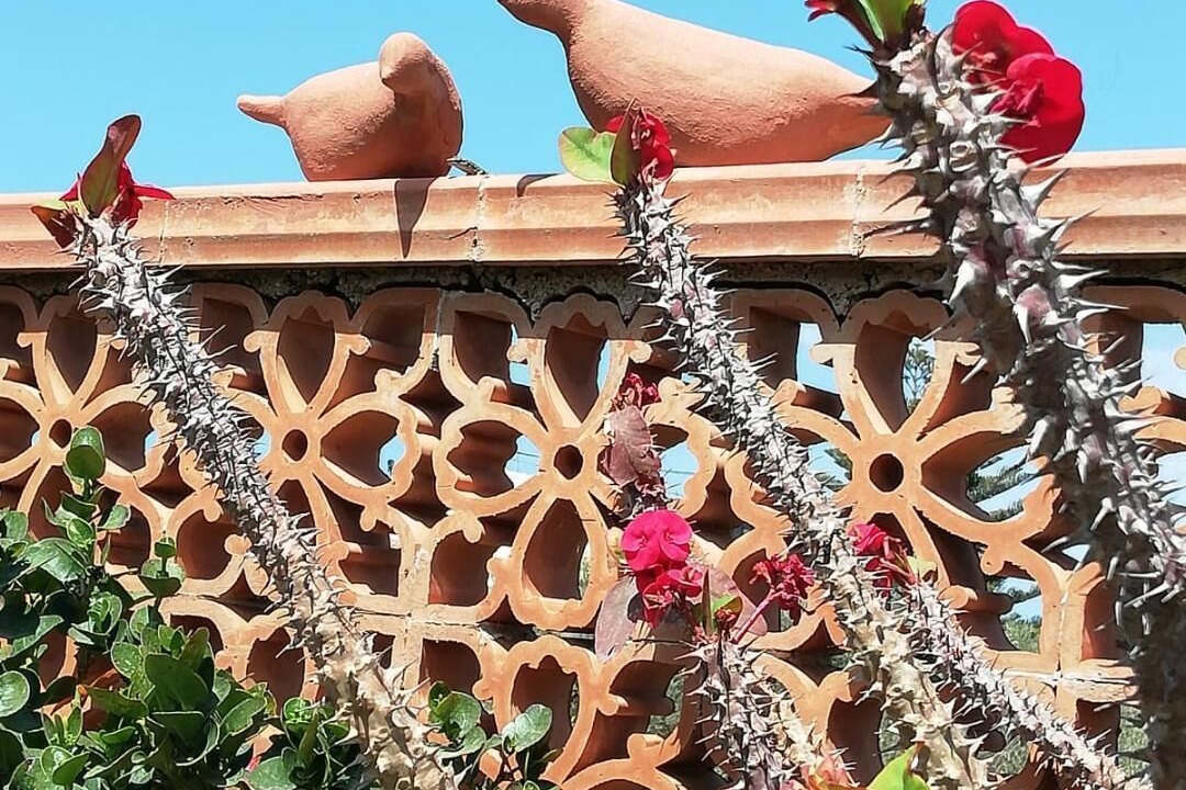 Photo of Outdoor in Province of Messina