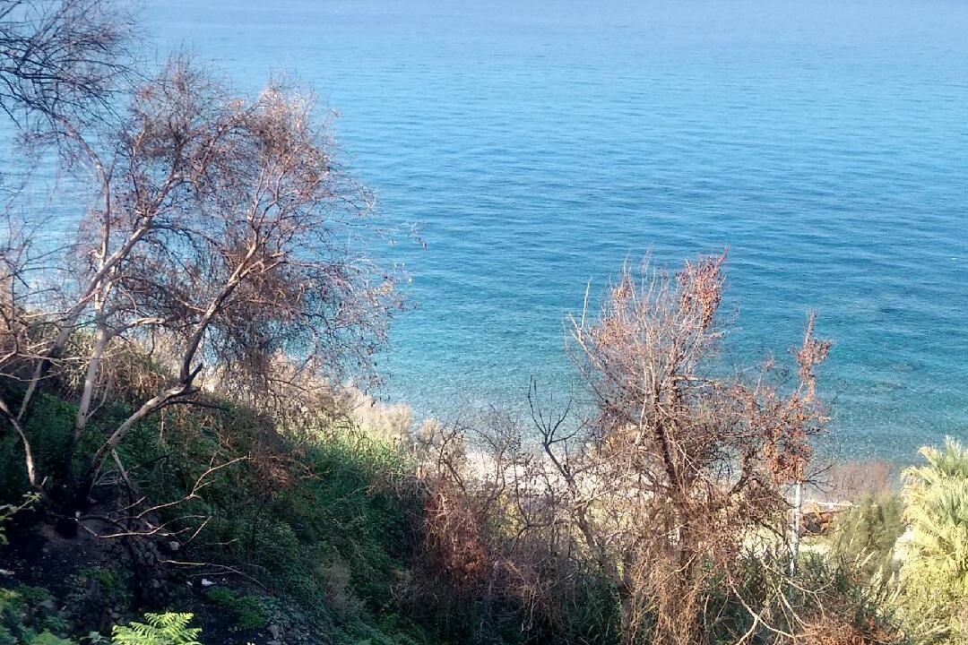 Photo of Others in Province of Messina