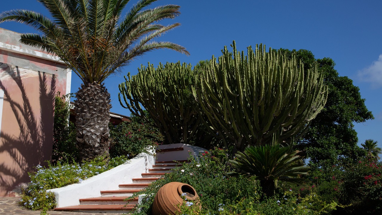 Photo of Outdoor in Pantelleria