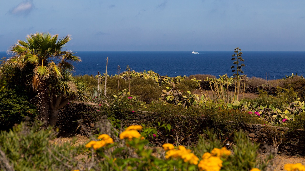 Photo of Others in Pantelleria