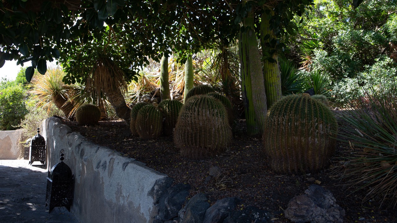 Photo of Outdoor in Pantelleria