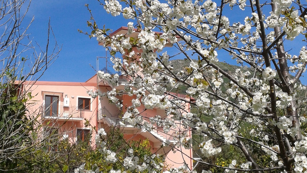Photo of Outdoor in Letojanni