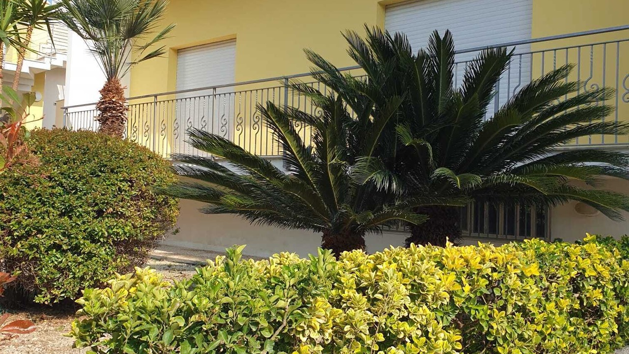 Photo of Outdoor in Venetico Marina
