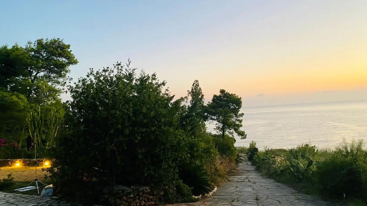 Photo of Others in Scopello