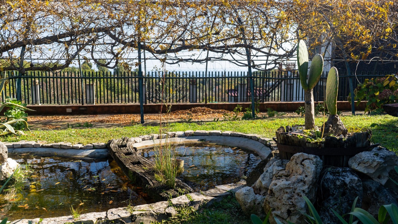 Photo of Outdoor in Piedimonte Etneo