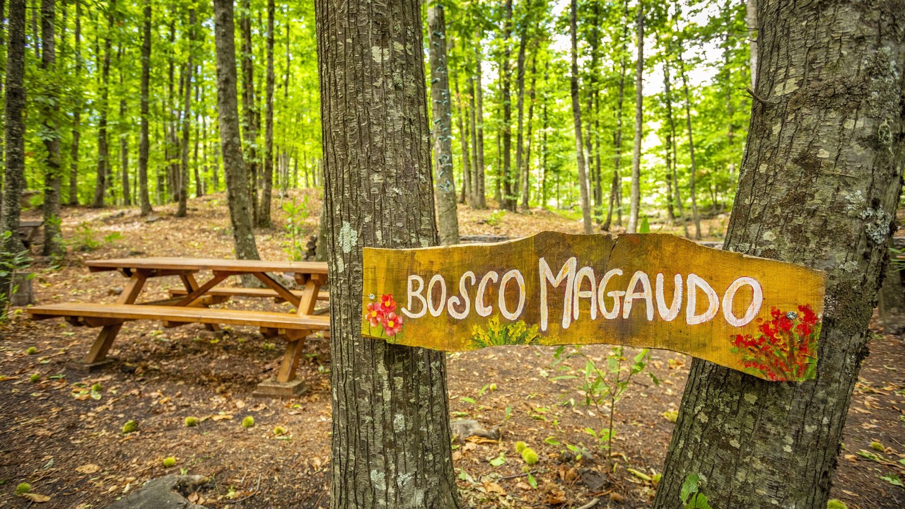 Photo of Outdoor in Linguaglossa
