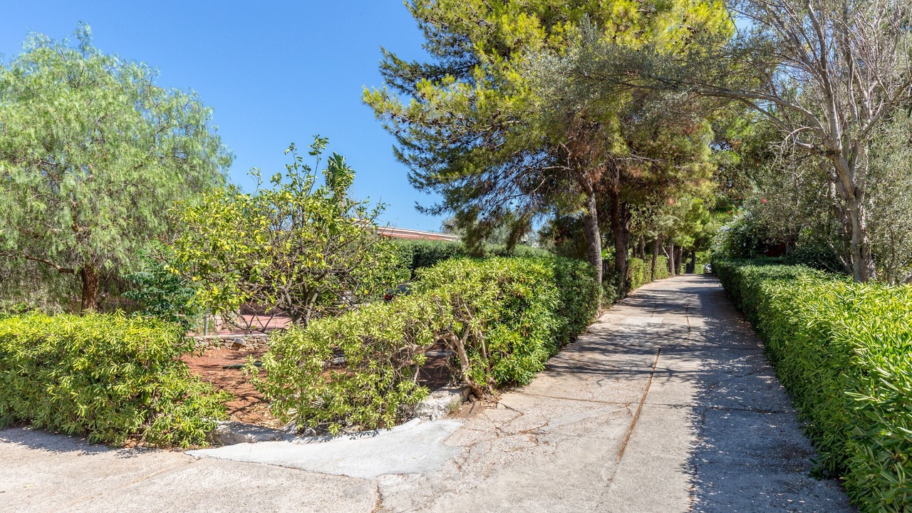 Photo of Outdoor in Terrasini