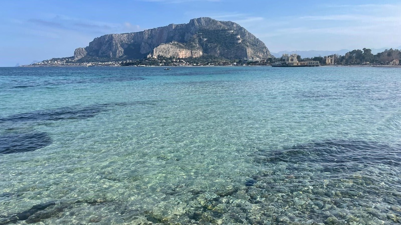 Photo of Others in Partinico