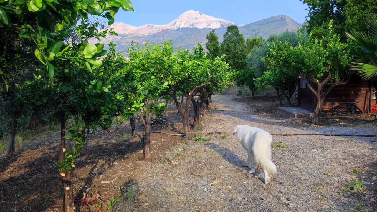 Photo of Outdoor in Collesano