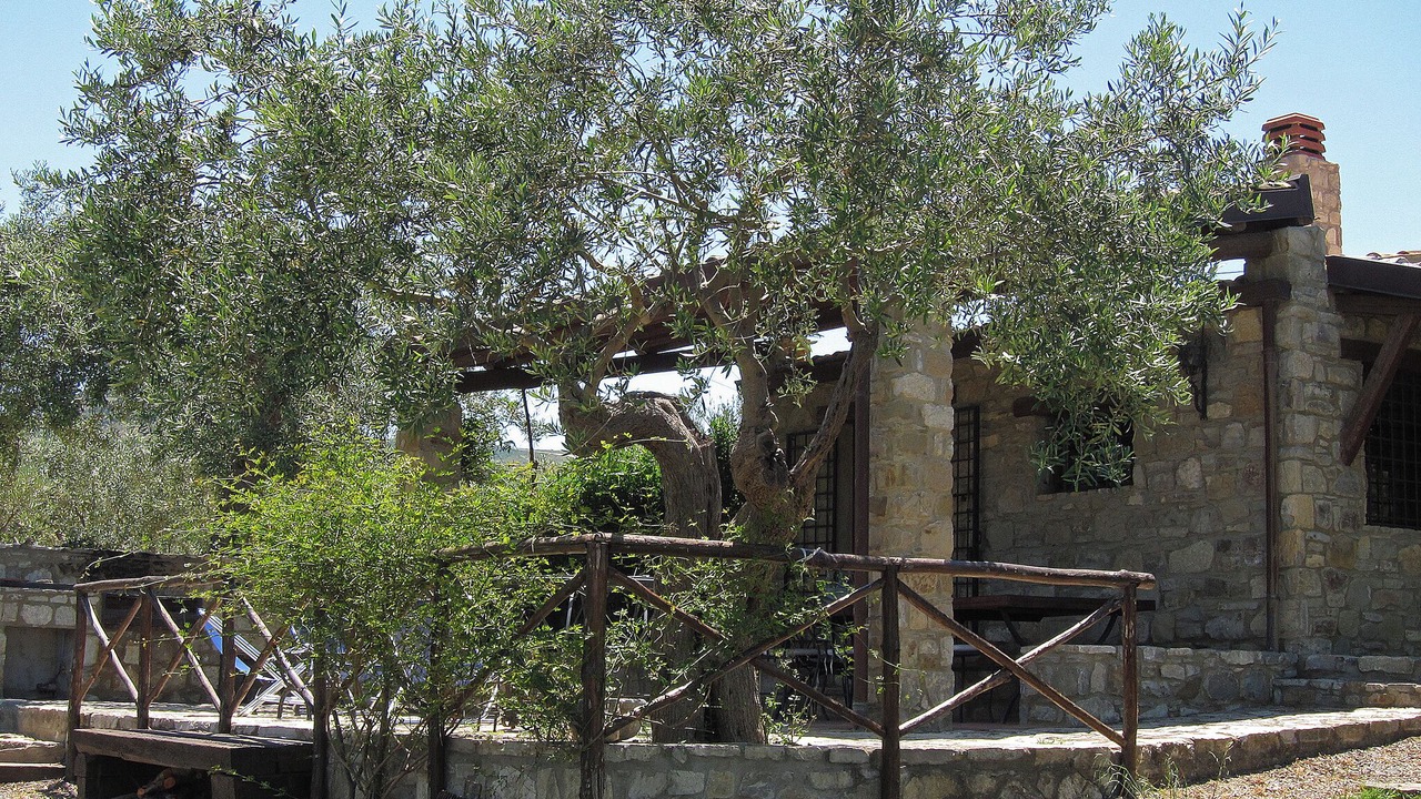 Photo of Outdoor in Collesano