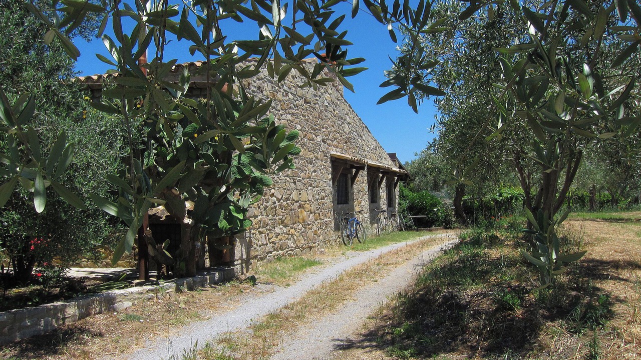 Photo of Outdoor in Collesano